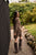 PZSally Dress Walnut