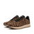 Nicoline Leo Leopard