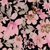 KCSarina Blouse Pink Flower