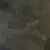 CUElivia Pants Camouflage